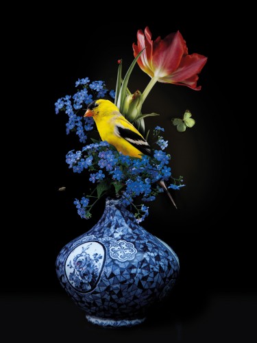 Royal Respect 3 © Sander van Laar