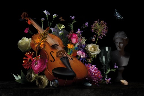 Royal Violin © Sander van Laar