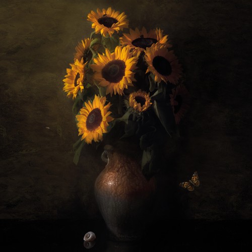 Royal Zonnebloemen © Sander van Laar