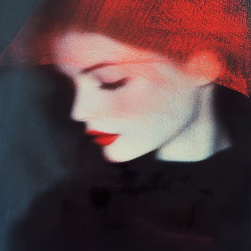 Scarlet silence © Lauri Creates