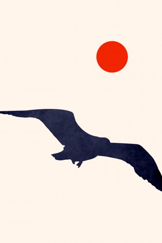 Seagull © KUBISTIKA