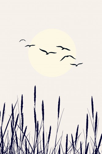 Shadows Of The Sun © KUBISTIKA
