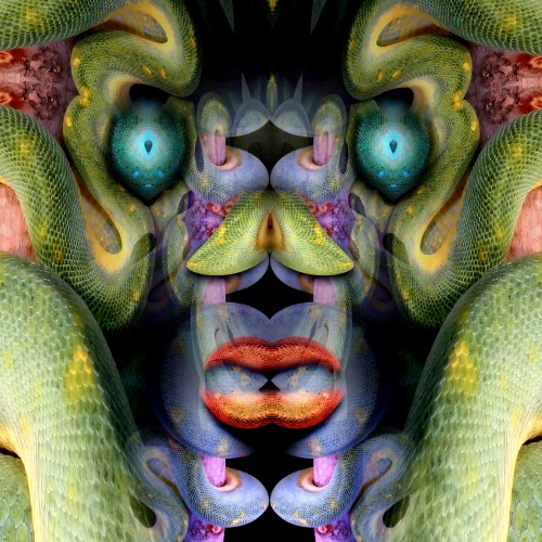 Snakeface © Marlon Paul Bruin