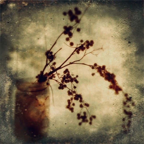 Still life © RAR Kramer
