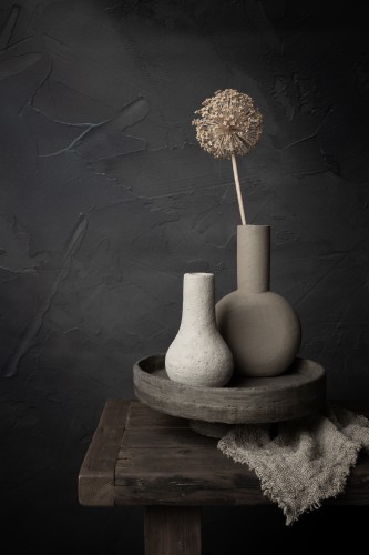 Stilleven met gedroogde bloem van sierui © Mayra Pama