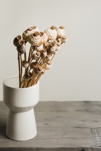 Stilleven met gedroogde papaverbollen in witte vaas © Mayra Fotografie
