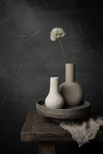 Stilleven met witte aliumbol © Mayra Pama