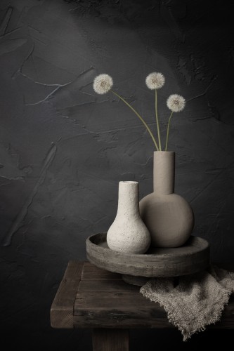 Stillleven met pluizenbollen van paardenbloemen © Mayra Pama