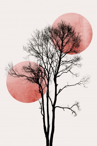 Sun and Moon hiding-ROSÈ © KUBISTIKA