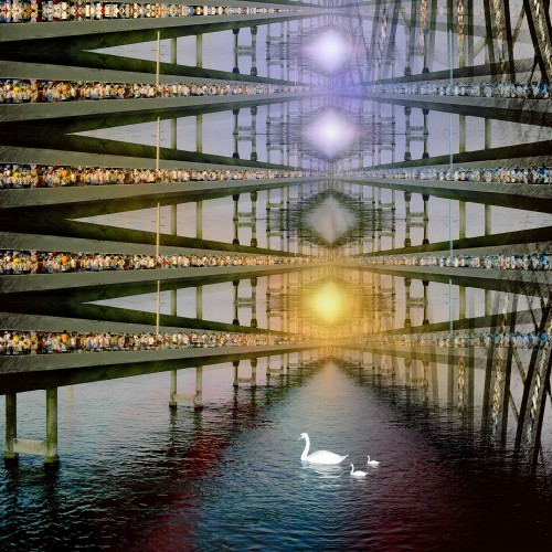 Swan © Marlon Paul Bruin