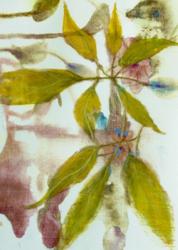 The green glow 1 © RAR Kramer