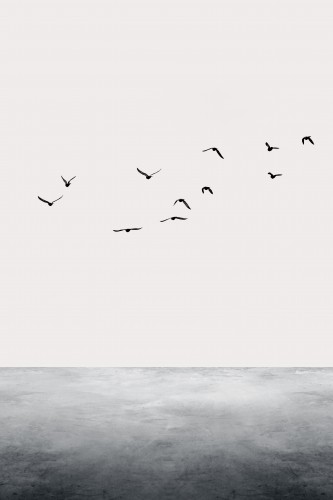 The Ocean © KUBISTIKA