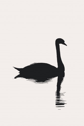 The Swan-2 © KUBISTIKA