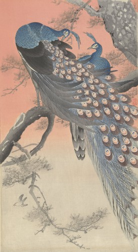 Twee pauwen op boomtak, Ohara Koson, 1900 - 1930