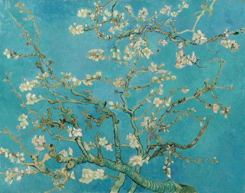 Amandelbloesem, Van Gogh 