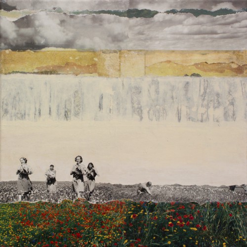 WALLFLOWERS © db Waterman