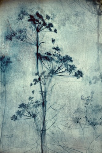 Watersong © RAR Kramer