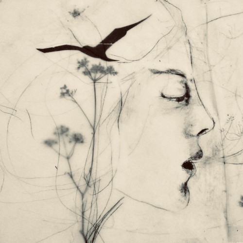 Where the birds grow © RAR Kramer