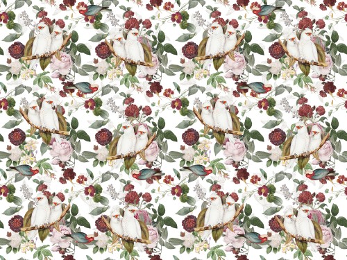 White Spring Wallpaper © Marja van den Hurk