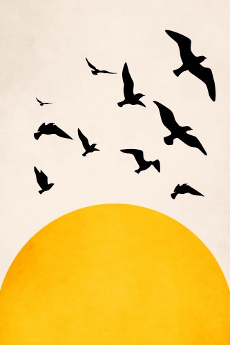 Wings To Fly : X © KUBISTIKA