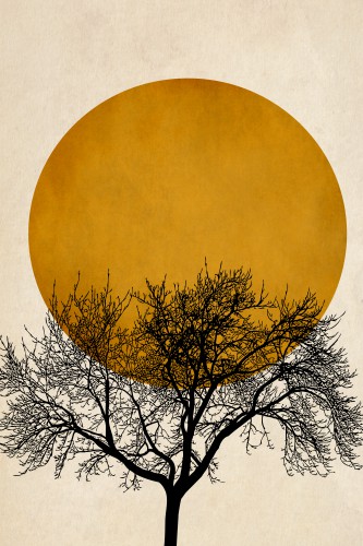 Wintermorgen © KUBISTIKA