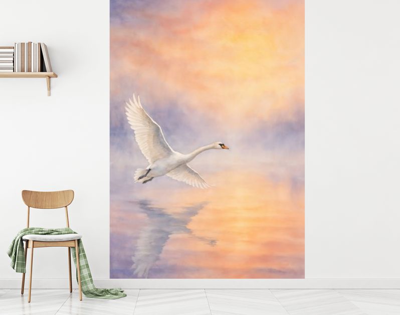 Witte zwaan in vlucht boven water bij zonsopkomst