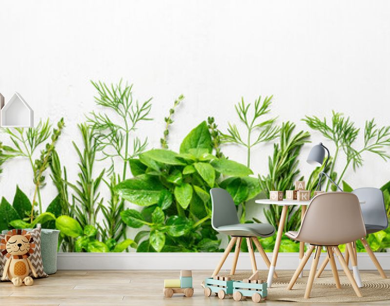 Various fresh herbs arranged in a frame. Cooking concept with spices garden herbs. Healthy food.Top view.