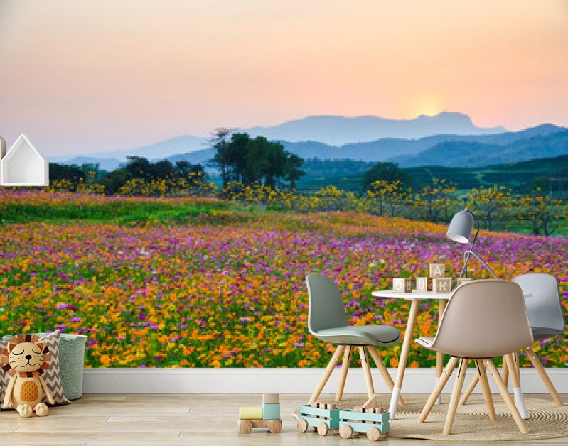 Colorful cosmos flower blooming on hill