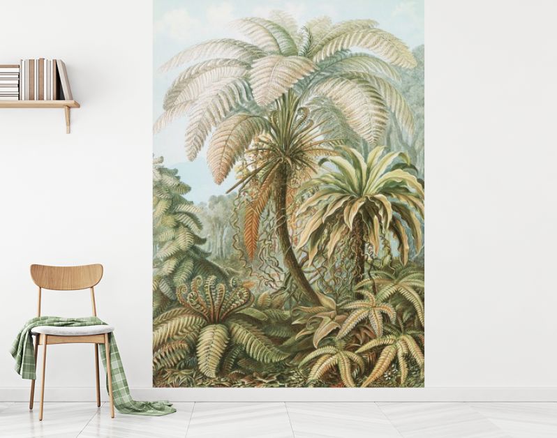 Filicinae–Laubfarne