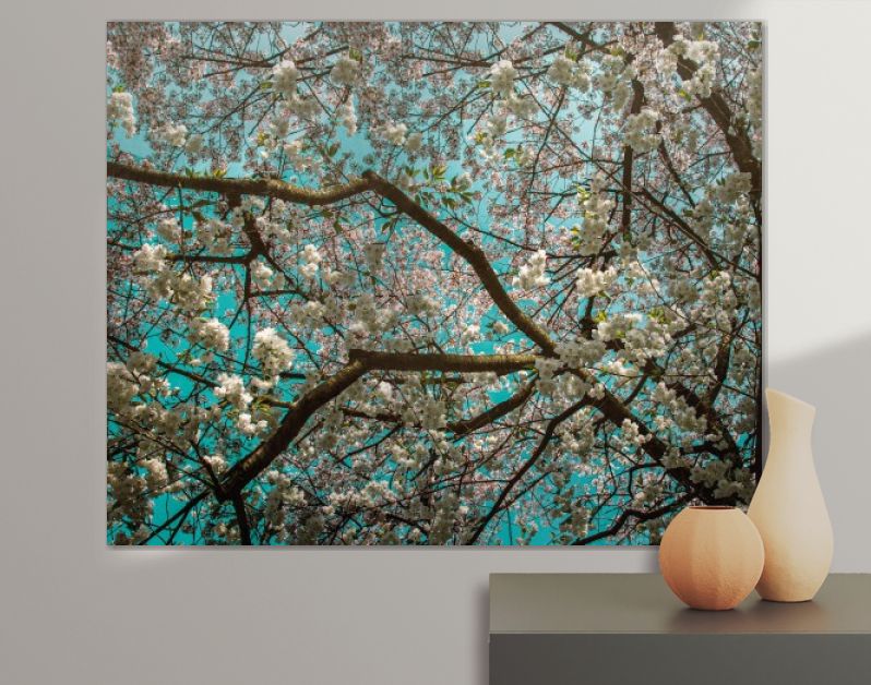 Bloesemboom in ode aan van Gogh