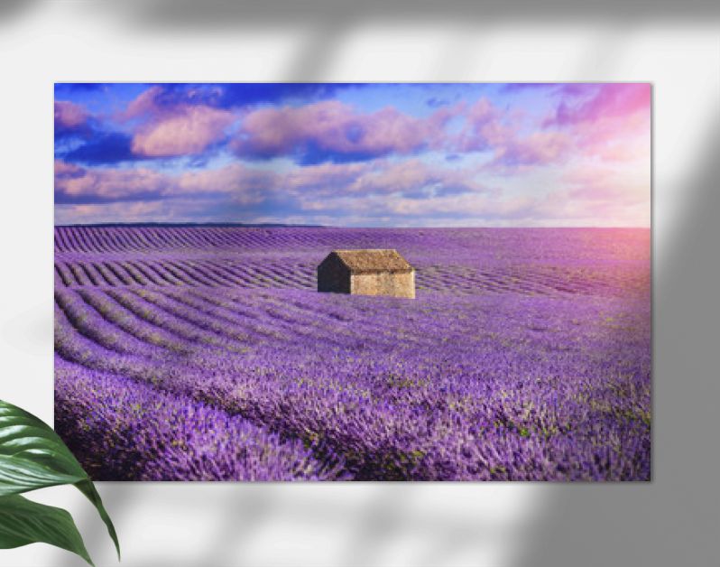surrealistisch landschap