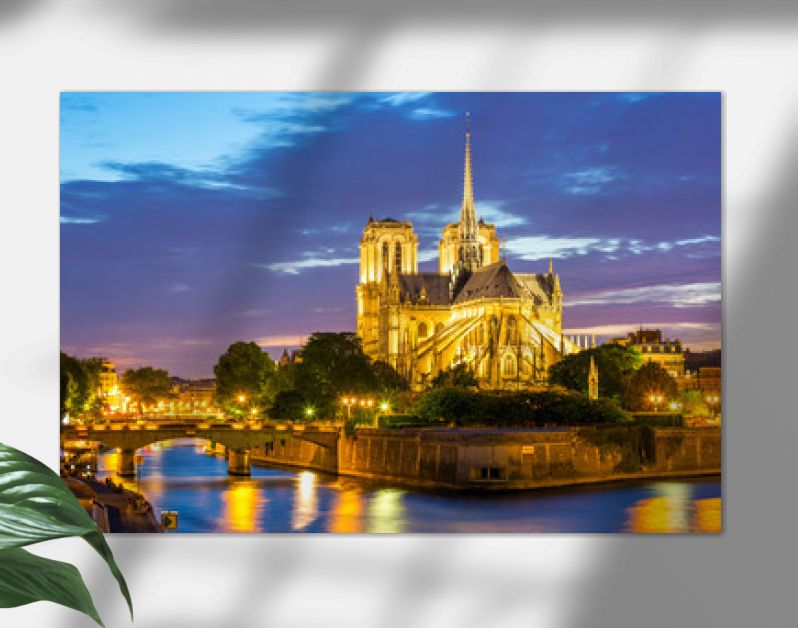 Notre Dame-kathedraal Parijs