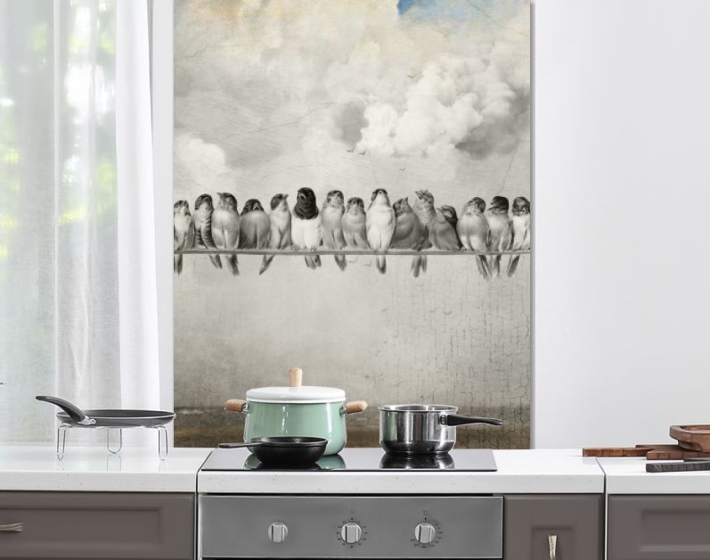 All the Pretty Birds