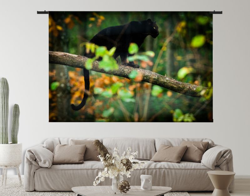 Zwarte panter op de boom in de jungle