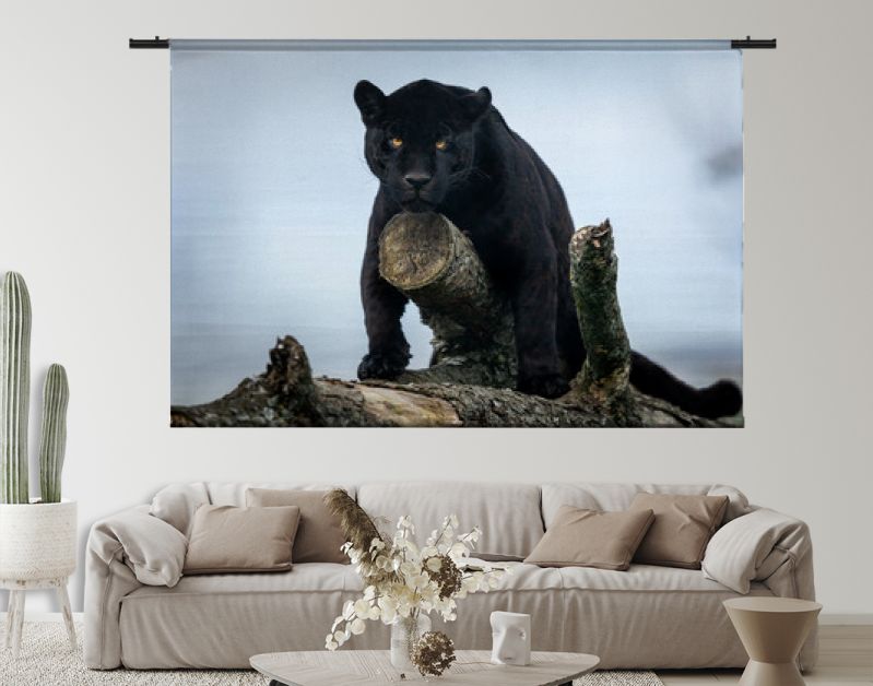 Portret van een zwarte jaguar in het bos