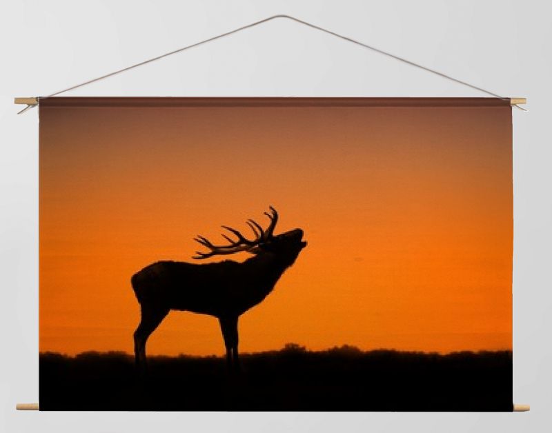 De plaat van het hert