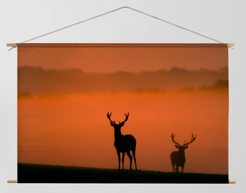 twee silhouetten van edelherten in de ochtendmist