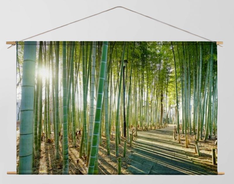 竹林