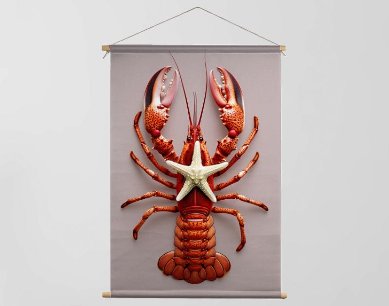 Rode kreeft met zeester