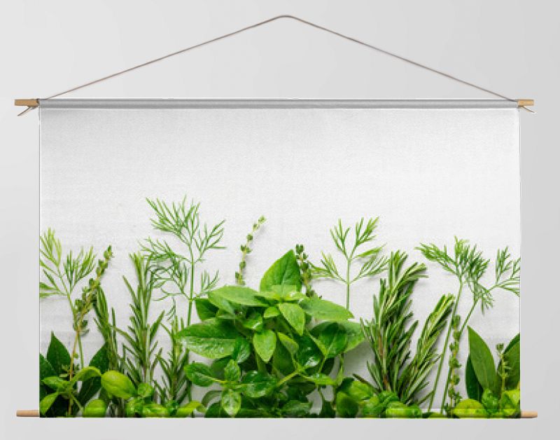 Various fresh herbs arranged in a frame. Cooking concept with spices garden herbs. Healthy food.Top view.