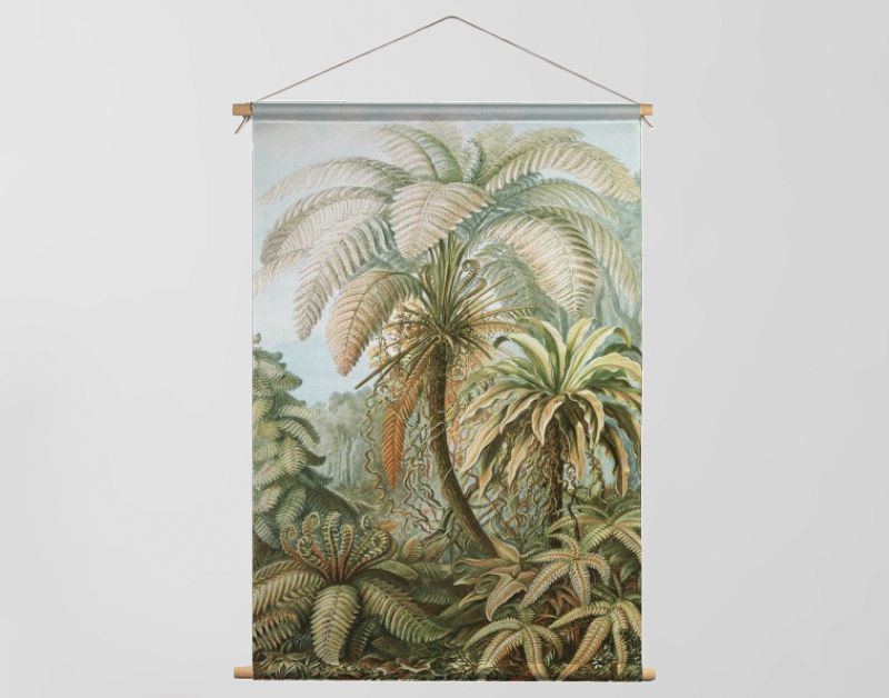 Filicinae–Laubfarne