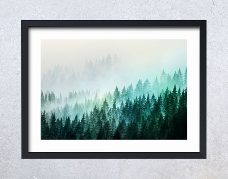 Bomen in ochtendmist. Digitaal schilderij..