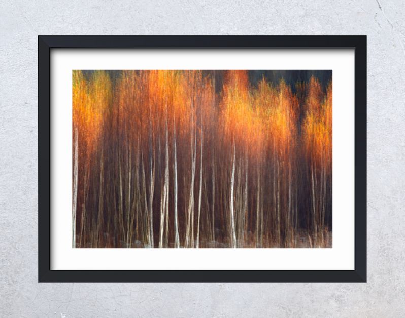 Herfst textuur schilderachtige achtergrond met bewegingsonscherpte, afgezwakt in vintage stijl