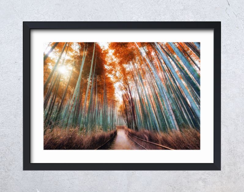 Walkway in autumn bamboo forest shady with sunlight at Arashiyama
