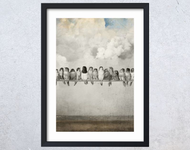 All the Pretty Birds