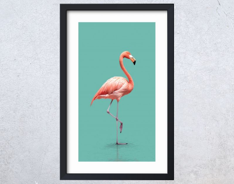 Pink Flamingo