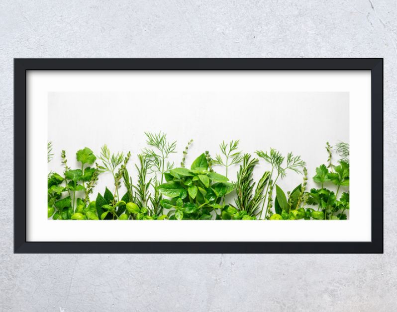 Various fresh herbs arranged in a frame. Cooking concept with spices garden herbs. Healthy food.Top view.