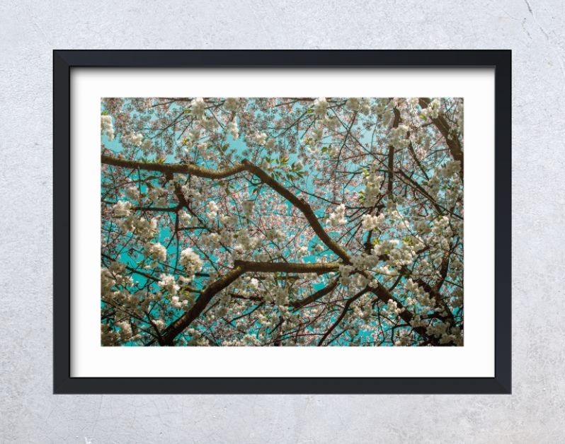 Bloesemboom in ode aan van Gogh