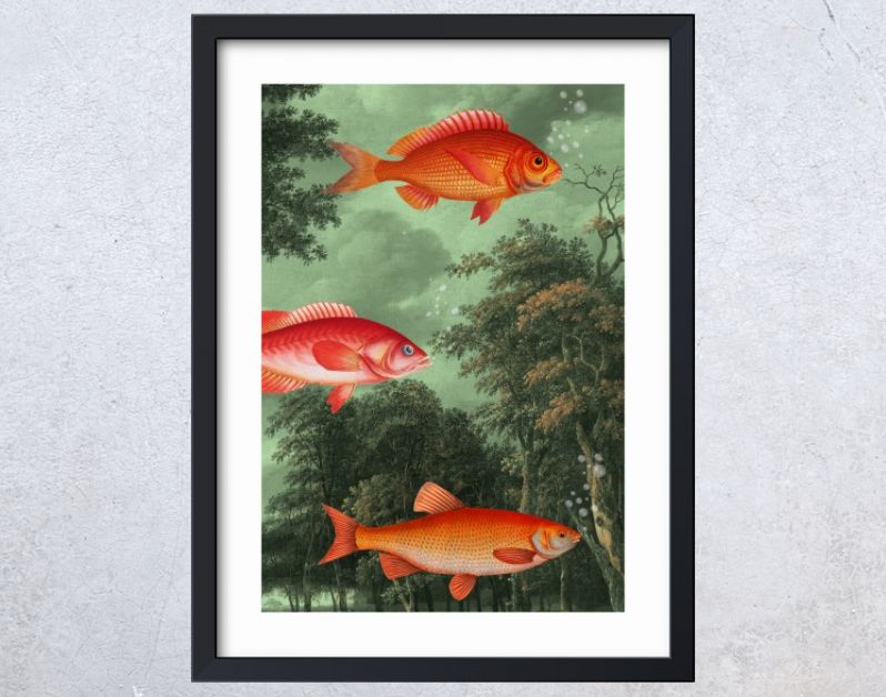 It's The Season of Flying Fish