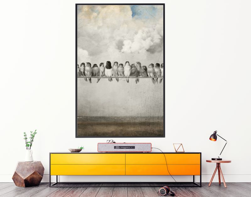 All the Pretty Birds